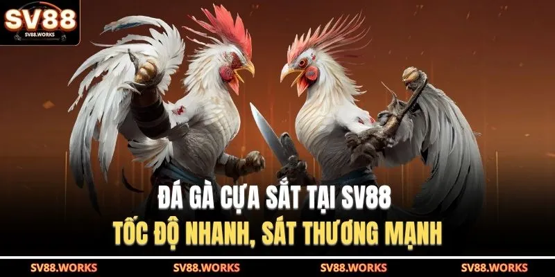 Đá gà cựa sắt