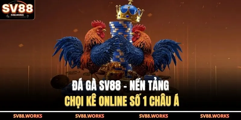 Đá Gà SV88 1 Đá gà SV88 - Nền tảng chọi kê online số 1 châu Á