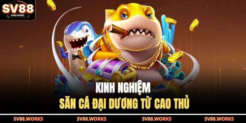 Bắn Cá Đại Dương | Đấu Trường Săn Thưởng Quy Mô Lớn 4 Kinh nghiệm săn cá đại dương từ cao thủ