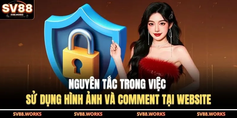 Nguyên tắc trong việc sử dụng hình ảnh và comment tại website