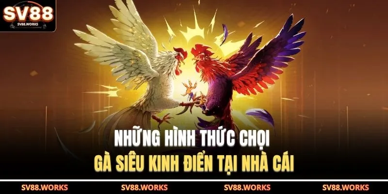 Đá Gà SV88 4 Những hình thức chọi gà siêu kinh điển tại nhà cái