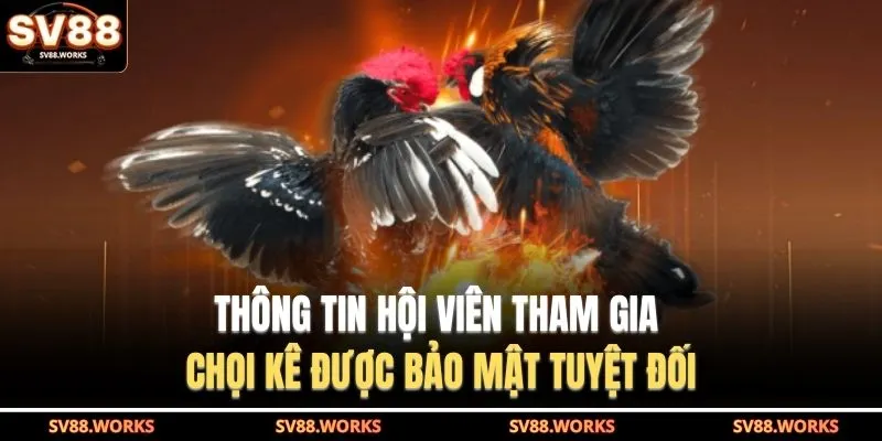 Đá Gà SV88 3 Thông tin hội viên tham gia chọi kê được bảo mật tuyệt đối